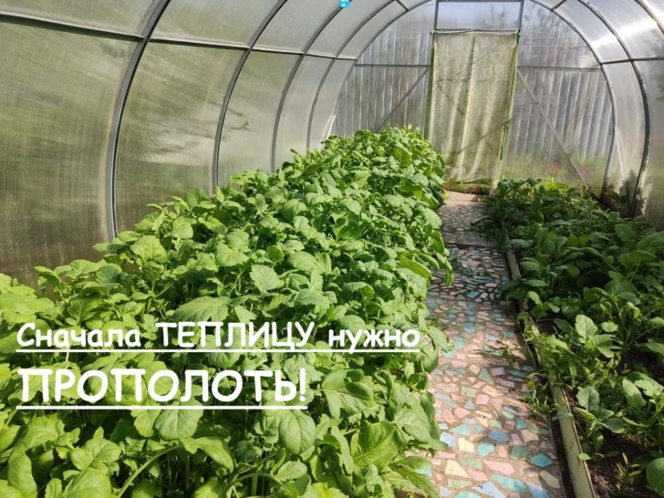 ��� ������ ����������� ������� ��� �������: ������ ������� �����������