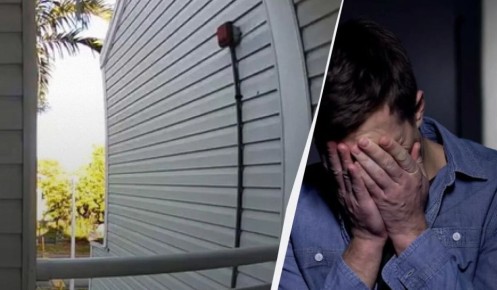 �������� �������: ��� ����� ������ ����� ������������ ������ ������ ����