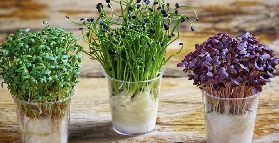 ������ �� �����������: ��� ��������� �������� ����������� �����