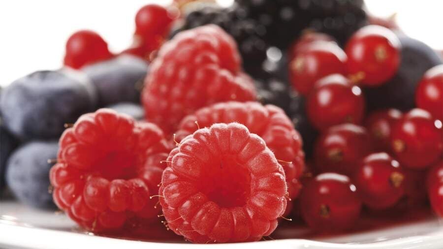 ����� �����: ��� ������� ���� � �������������, ����� �� ��������� ��������