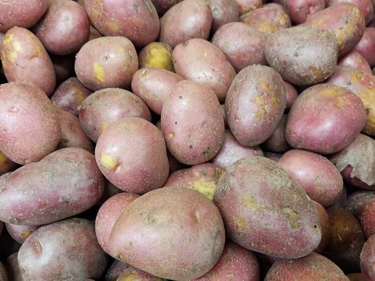 ����� ���� �������� ��������� ��������� ��� �������� � ��� ������� ������ ��