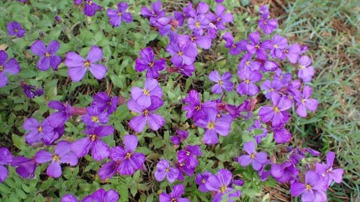 �������: ��������� ������� ��� ������ ����