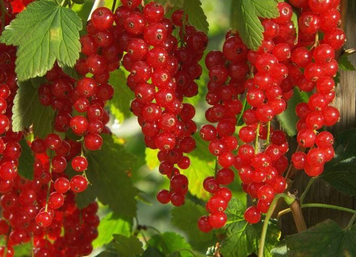 ��� ��������� �������� ��������� ��� �������� ������ ����