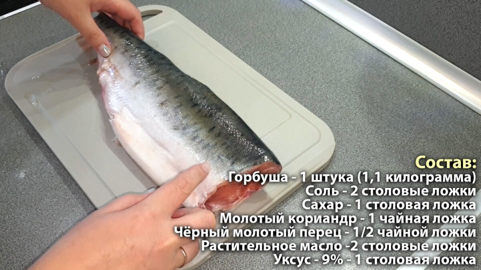 ��� ������ ������������ �������: ������� ��������� �������������