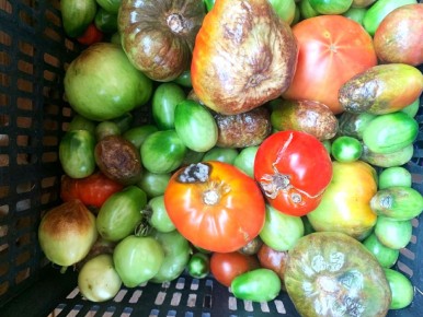 ����������� ���� �� ������ � ���������� � ��������