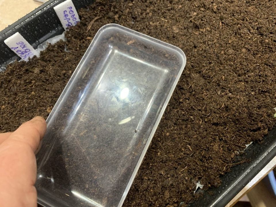 ��������� ����� ������: ��� ��������� ������ ������ ������ � �������