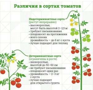 ��� ������������� ������������ ���� ������ � ���������� � ������� ������ ������