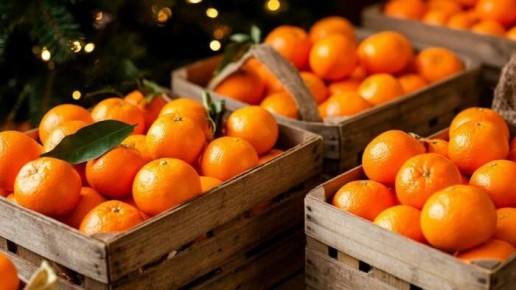 ��� ������� ��������� ���������: ������ ��������