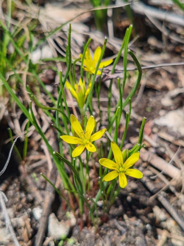 ������ ����, ��������!. �� ��������� 11 ������