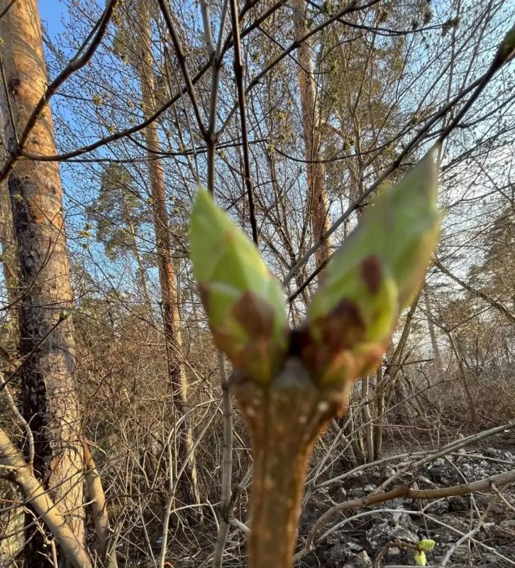 ��� ����������!. ����������, �� �������� � ������ ��� ��������� �������! ��� ������ �������� ����� � ��� �����