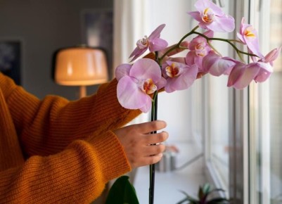 �� ����� �������� ���������: ������� ������ ��� ���������� ����������