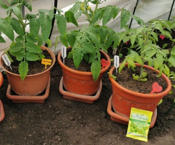 ���������� ����� ��������: ����������� � �������� � ��������