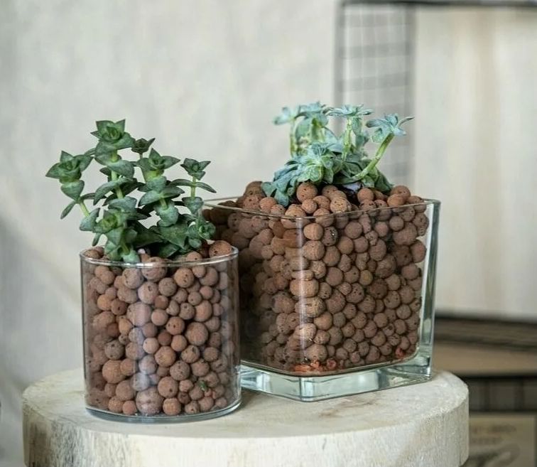 ��� ������ ����� ����������� ���� ��������� ��������: ������� �������� ��� ������