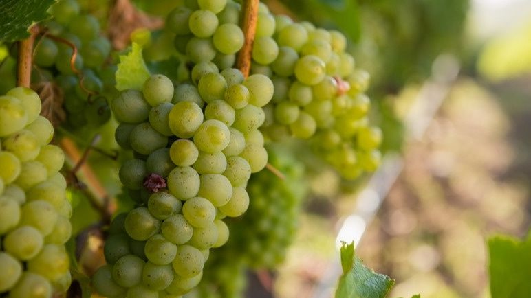 ��� ������� ��������� ���������� �������� � ��������� ��������� ����