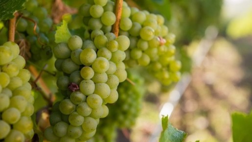 ��� ������� ��������� ���������� �������� � ��������� ��������� ����