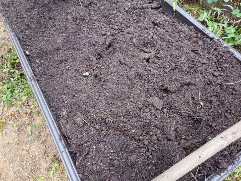 ��� ���������������� ������ ����� � �����������: ������� ������� ��������