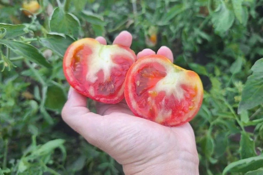 ������ � ��������� ���������� ����� ������� ��������?