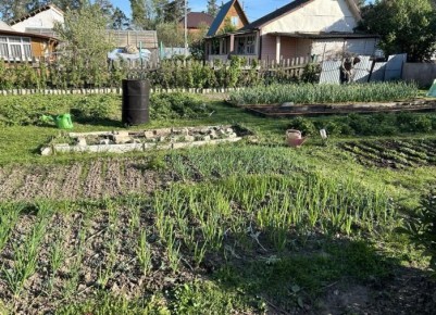 Как восстановить плодородие почвы после дождей: советы от биолога