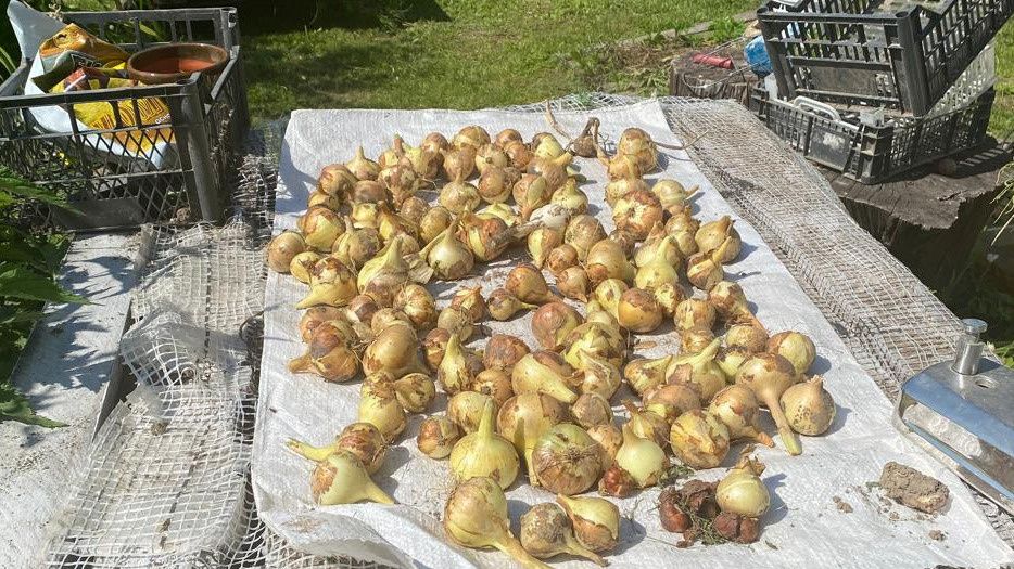 ��� ��������� ������ ����: 3 ������� ������� �� �������� �������