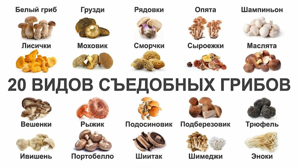 �����: ����� �� ��� ����� ���� ������