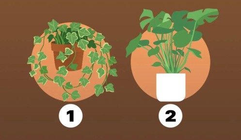 Как ваше внутреннее «я» влияет на способность признавать ошибки