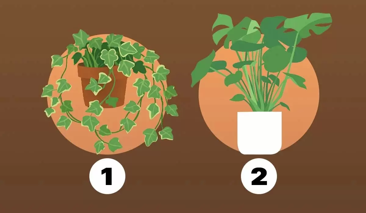 Как ваше внутреннее «я» влияет на способность признавать ошибки