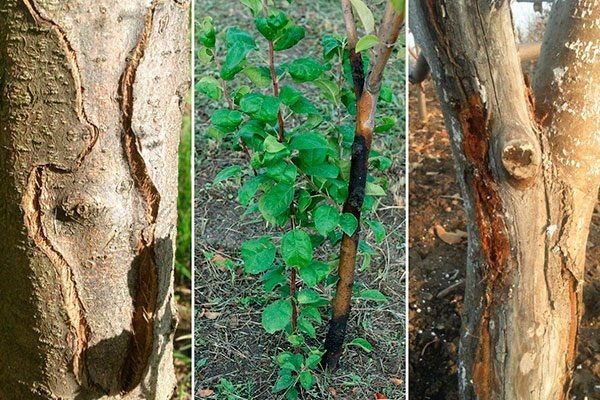 ������� � ������� �������� �������������� ���� �� �����