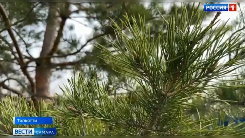 � �������� �������� ����� 315 ����� �������� ����� ������� 2010 ����