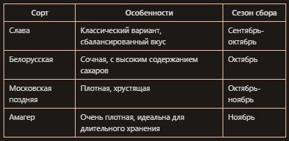 �������� �������: ��� �������� ���������� ����� � ������