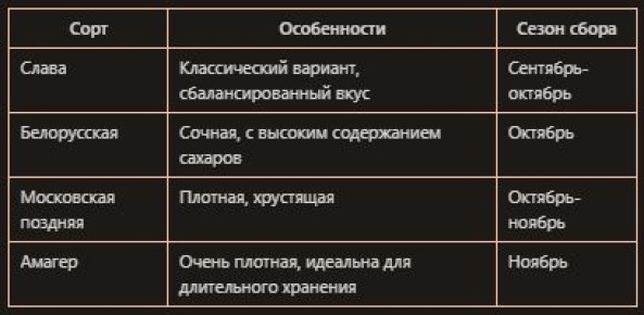 �������� �������: ��� �������� ���������� ����� � ������