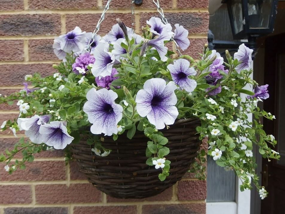 ��� ��������� ���������� ������� � �����