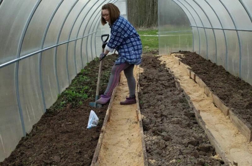 ��������������� ����� � �������: ��� ����������� ����� ����� ����� ������