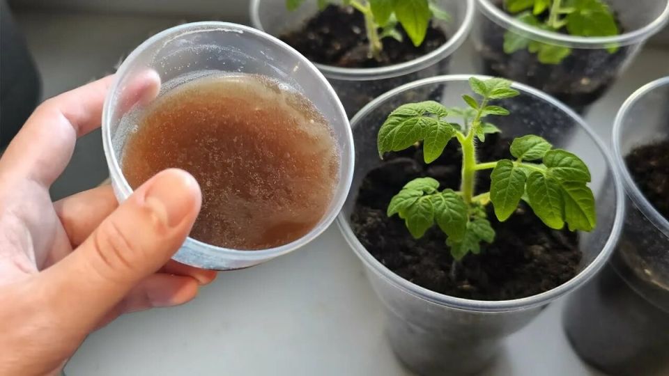 ������ � ��������� ����� ��� ������ � ������� �������