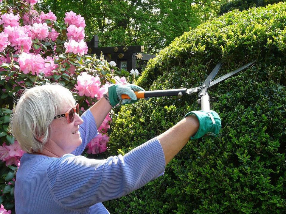 ������ ���������� �����: ��� ��� �������� ����������� ��� ���