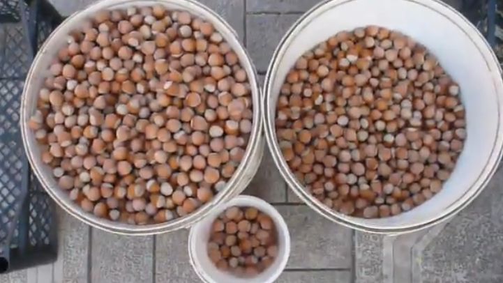 ��� ����������� ���� �������� ������ �������� ������ ������� ����� ������ ������ ���