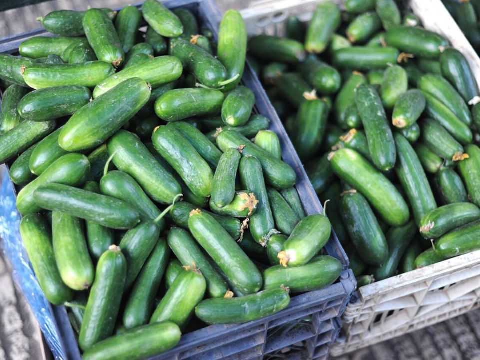 ��� ������� ������ �� ��� ������ ������: ������� ������� ���������