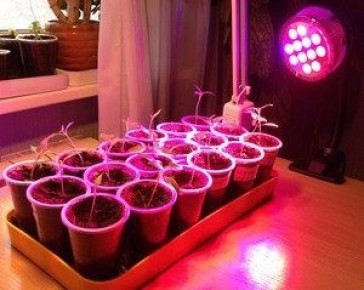 ��� ����� ��������� ����� �������� �������� ����� �������