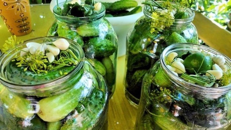 ��������� ������� ������ �� ����: ������� �������� ���������