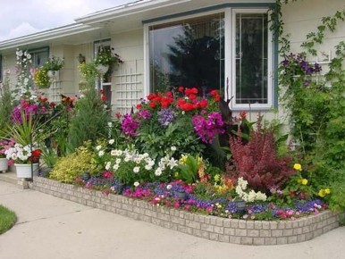 ������� ��������: ����� ����� ����� �������� ��� ���