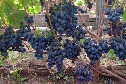 �������� ������: ����������� ����� ������ � �������������� ����������������