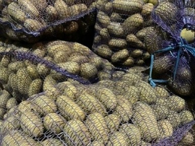 ��� ������� �������� ���������: ������ �� �����������������