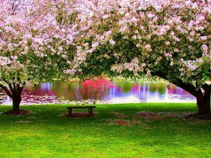 ���������� � ������ � ����������� �������: ��� � ����������� �����������