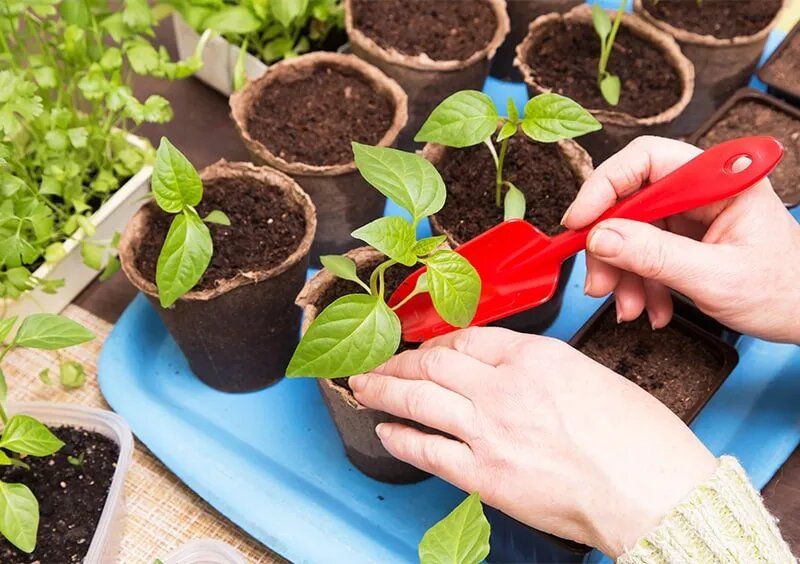 ������� �������� ��������� ������� �����: �� ����������� ������� �� ��������� �����