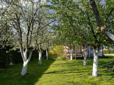 ������ ������� �������� �������� �������� ��� �������� ���������?