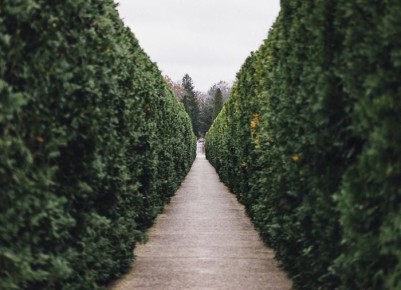 ��������: ��� ������� ��� � ���� � ����� ��������