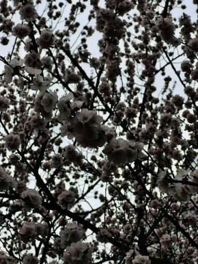 ��������� �������: ������� ������ �� �������, 25 ������