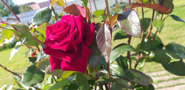 ��� �������� ����� � ����: ������ �� �������������� ����� ����