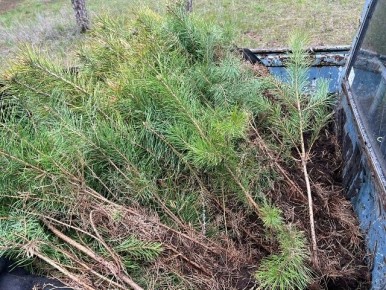 �������� ������������� � �������������� ����������