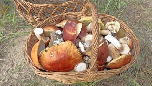 �������� ����� � �������: ��� � ����� ����� �������� ���������