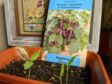 �������� �������: ��� ��������� �������� ������ ��������